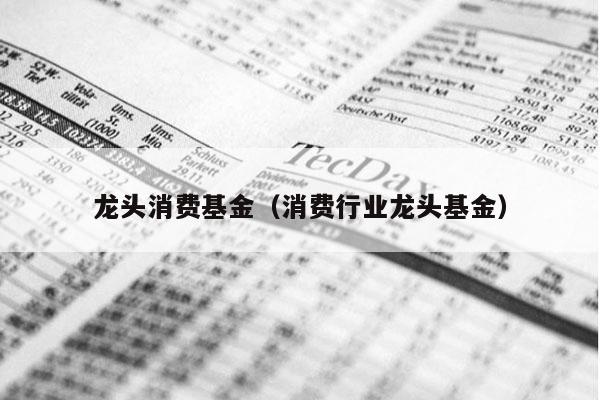 龙头消费基金（消费行业龙头基金）
