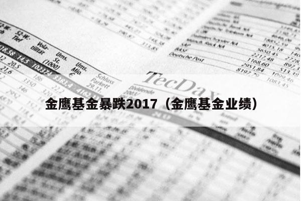 金鹰基金暴跌2017（金鹰基金业绩）