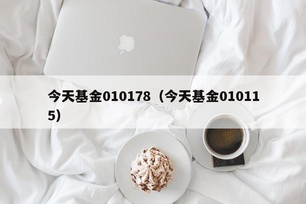 今天基金010178（今天基金010115）