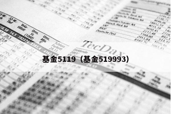 基金5119（基金519993）