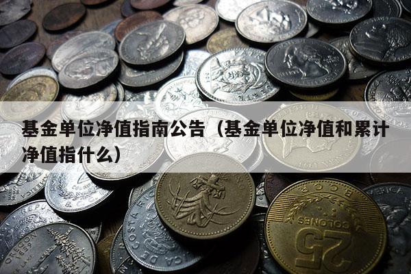 基金单位净值指南公告（基金单位净值和累计净值指什么）
