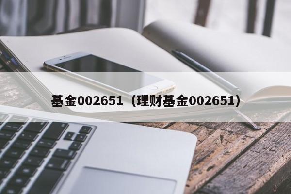基金002651（理财基金002651）