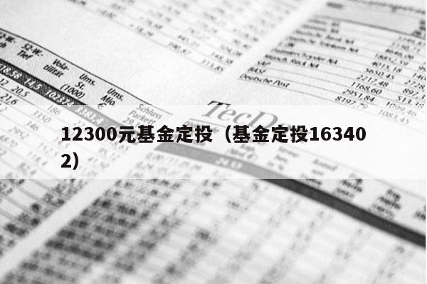 12300元基金定投（基金定投163402）