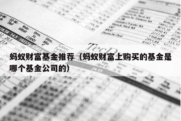 蚂蚁财富基金推荐（蚂蚁财富上购买的基金是哪个基金公司的）