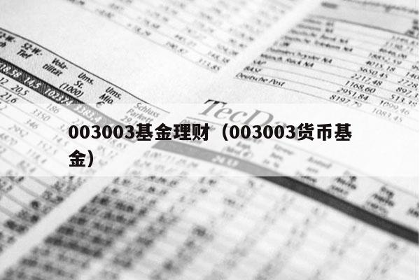 003003基金理财（003003货币基金）