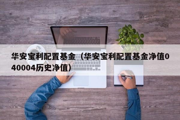 华安宝利配置基金（华安宝利配置基金净值040004历史净值）