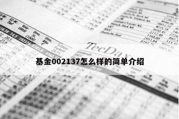 基金002137怎么样的简单介绍