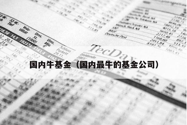 国内牛基金（国内最牛的基金公司）