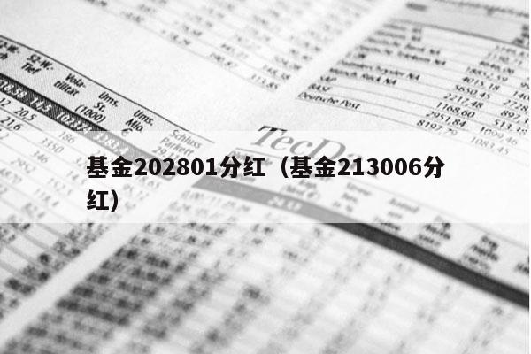 基金202801分红（基金213006分红）