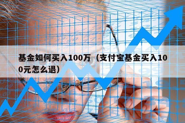 基金如何买入100万（支付宝基金买入100元怎么退）