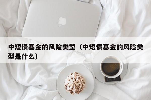 中短债基金的风险类型（中短债基金的风险类型是什么）