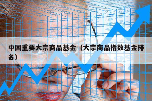 中国重要大宗商品基金（大宗商品指数基金排名）