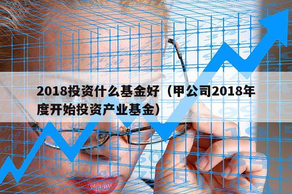2018投资什么基金好（甲公司2018年度开始投资产业基金）