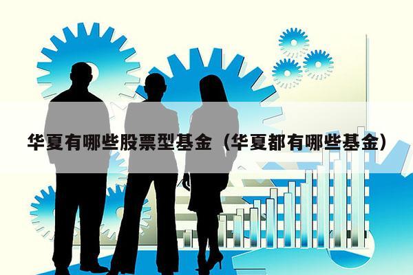 华夏有哪些股票型基金（华夏都有哪些基金）