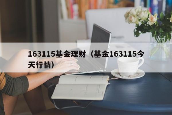 163115基金理财（基金163115今天行情）