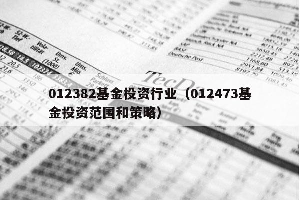 012382基金投资行业（012473基金投资范围和策略）