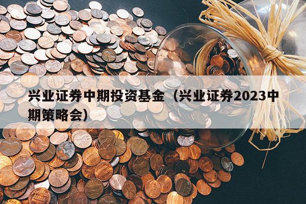 兴业证券中期投资基金（兴业证券2023中期策略会）