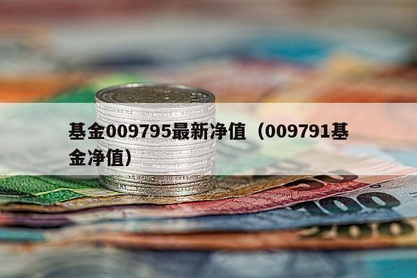 基金009795最新净值（009791基金净值）