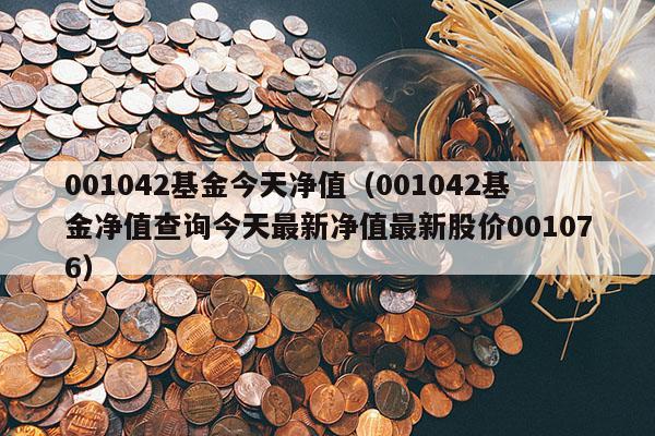 001042基金今天净值（001042基金净值查询今天最新净值最新股价001076）