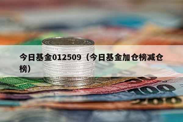 今日基金012509（今日基金加仓榜减仓榜）