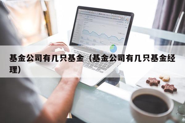 基金公司有几只基金（基金公司有几只基金经理）