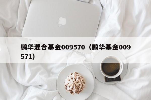 鹏华混合基金009570（鹏华基金009571）