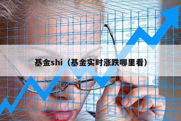 基金shi（基金实时涨跌哪里看）
