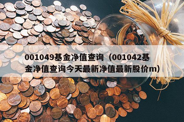 001049基金净值查询（001042基金净值查询今天最新净值最新股价m）