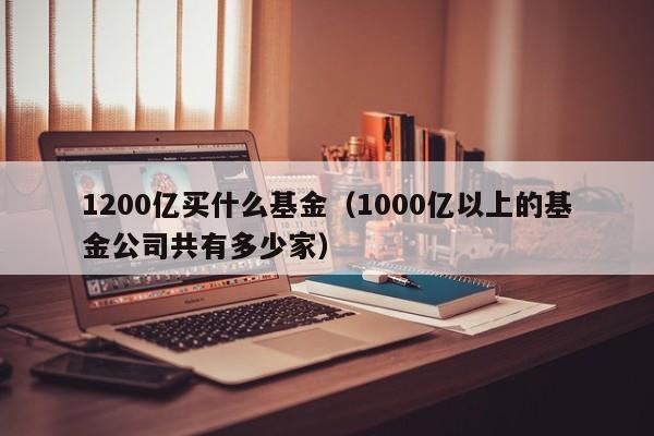 1200亿买什么基金（1000亿以上的基金公司共有多少家）