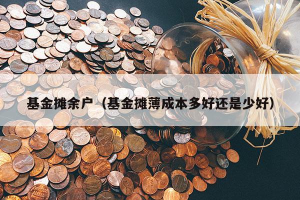 基金摊余户（基金摊薄成本多好还是少好）
