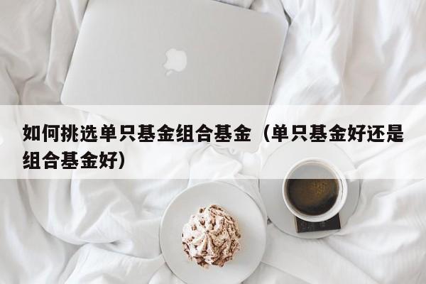 如何挑选单只基金组合基金（单只基金好还是组合基金好）