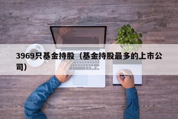 3969只基金持股（基金持股最多的上市公司）