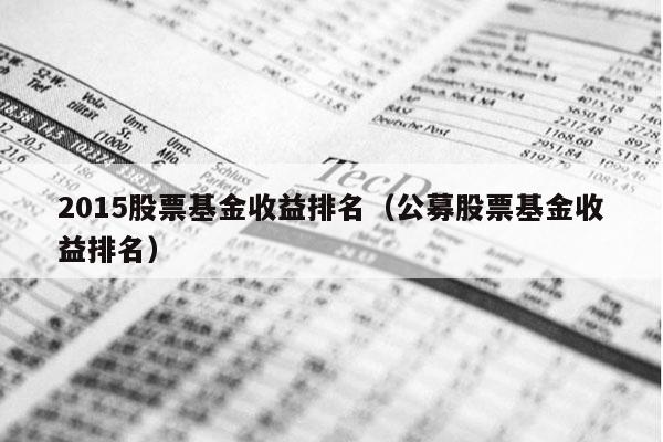 2015股票基金收益排名（公募股票基金收益排名）