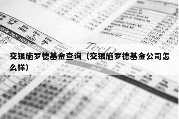 交银施罗德基金查询（交银施罗德基金公司怎么样）
