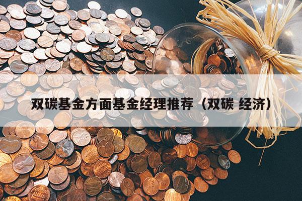 双碳基金方面基金经理推荐（双碳 经济）