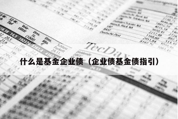 什么是基金企业债（企业债基金债指引）