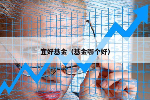 宜好基金（基金哪个好）
