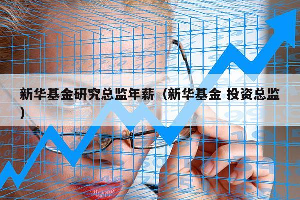 新华基金研究总监年薪（新华基金 投资总监）