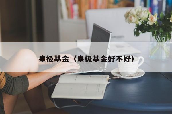 皇极基金（皇极基金好不好）