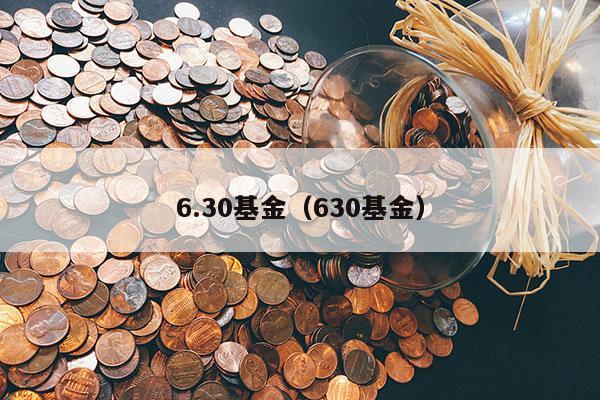 6.30基金（630基金）