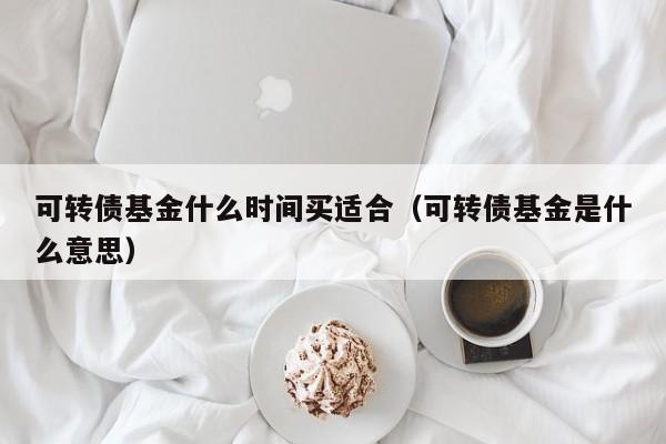 可转债基金什么时间买适合（可转债基金是什么意思）