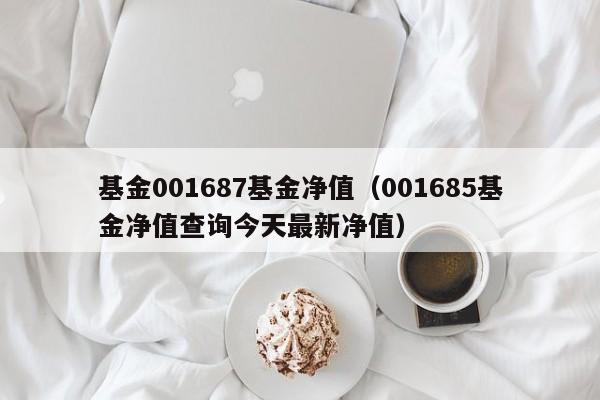 基金001687基金净值（001685基金净值查询今天最新净值）