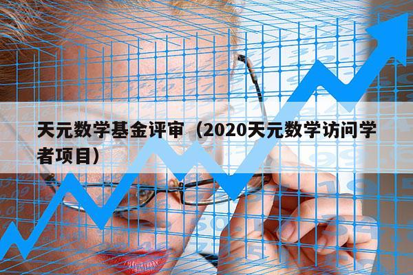 天元数学基金评审（2020天元数学访问学者项目）