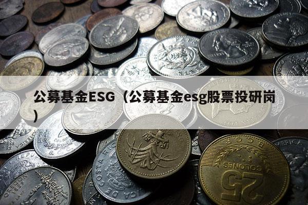 公募基金ESG（公募基金esg股票投研岗）