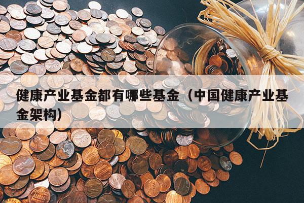 健康产业基金都有哪些基金（中国健康产业基金架构）