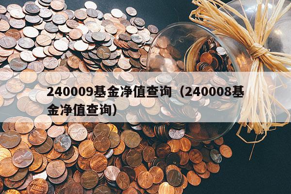 240009基金净值查询（240008基金净值查询）
