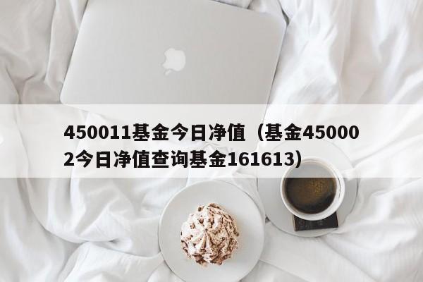 450011基金今日净值（基金450002今日净值查询基金161613）