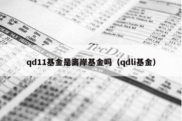 qd11基金是离岸基金吗（qdli基金）