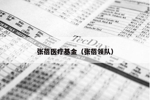 张蓓医疗基金（张蓓领队）