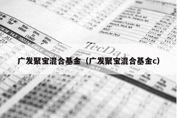 广发聚宝混合基金（广发聚宝混合基金c）